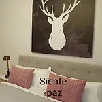 Origen Pelaire Refugio Tena Centro Biescas Con Encanto Ubicaciontop