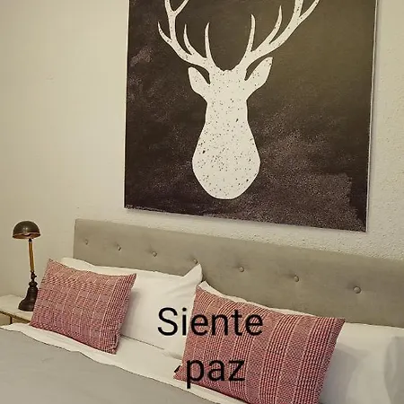 Origen Pelaire Refugio Tena Centro Con Encanto Ubicaciontop